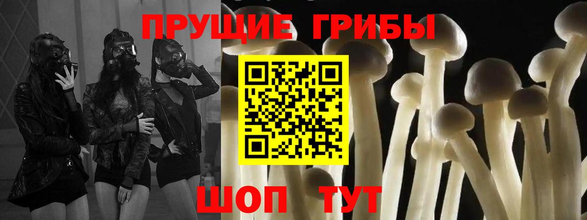 Галлюциногенные грибы Magic Shrooms  Псилоцибиновые грибы ЛСД  Рыбинск  Вход с VPN 